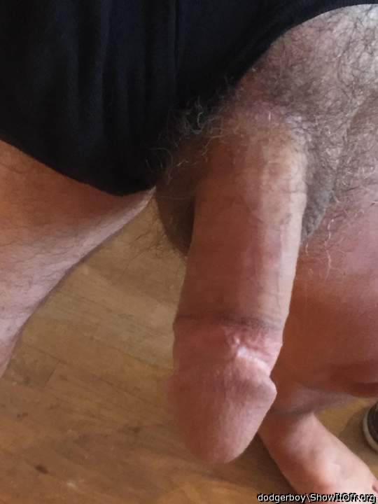 Photo of a stiffie from dodgerboy