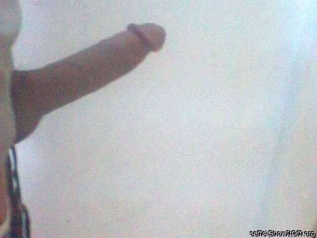 Photo of a phallus from seffs