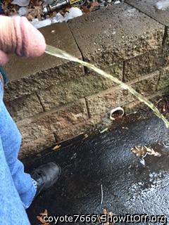 Hot cock and piss 