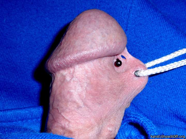 Photo of a bald-headed mouse from karst