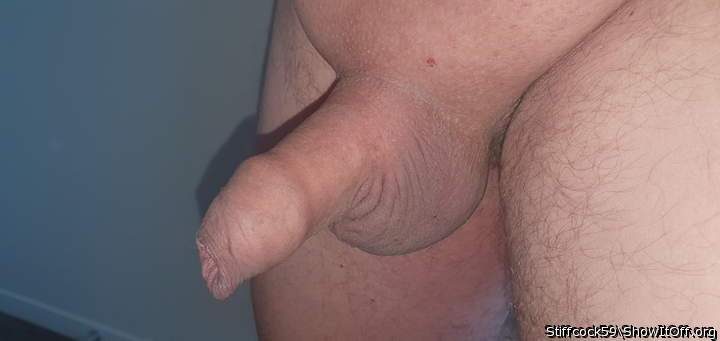 Photo of a lizard from Stiffcock59