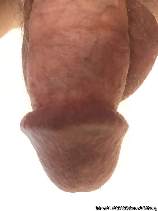 Photo of a weasel from John1111199999