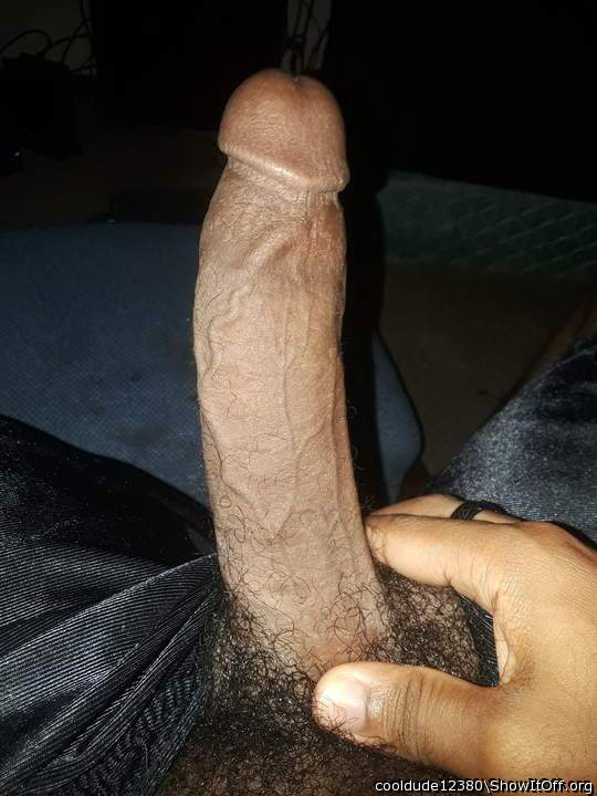 Beautiful cock  