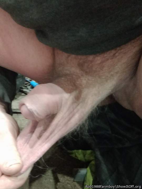 Testicles Photo from Rob1988farmboy