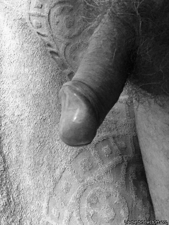 Photo of a snake from b4idie