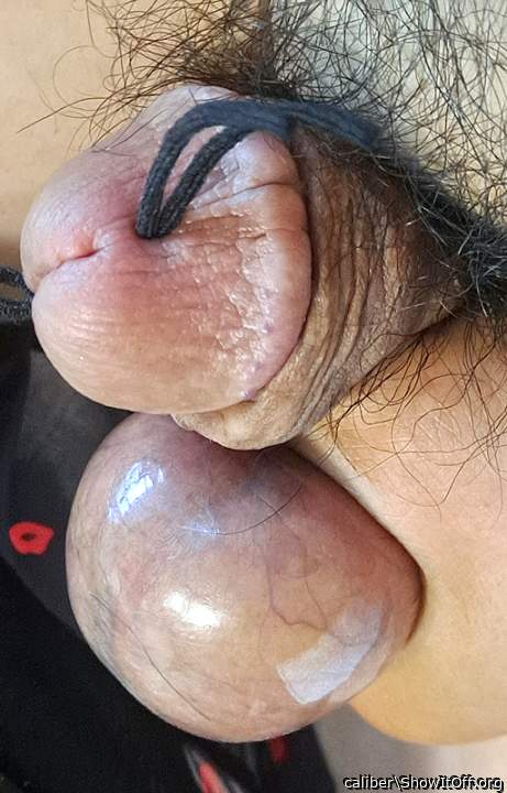 Photo of a cock from caliber