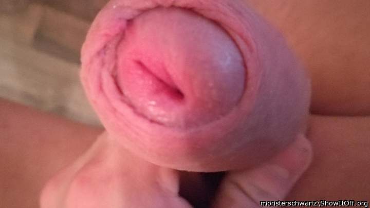 Photo of a bald-headed mouse from monsterschwanz