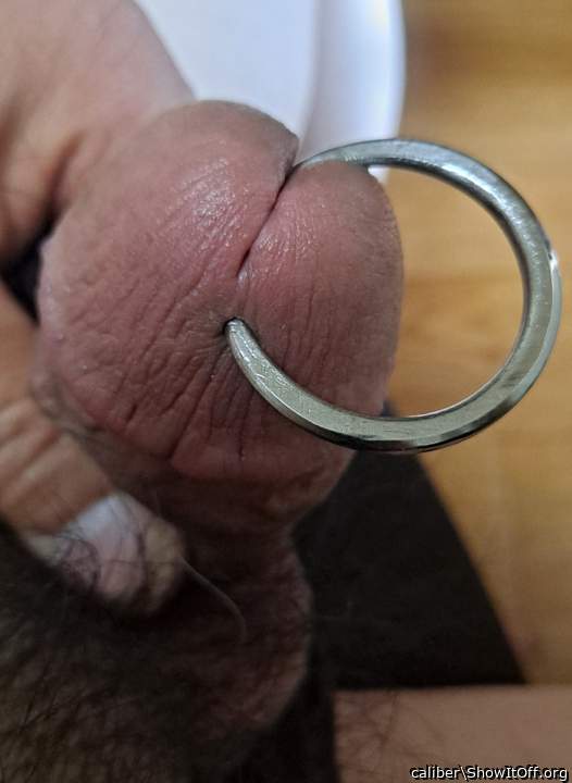 Photo of a cavalier from caliber