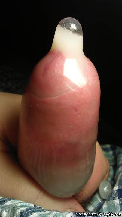 Photo of a middle leg from Vanillacum