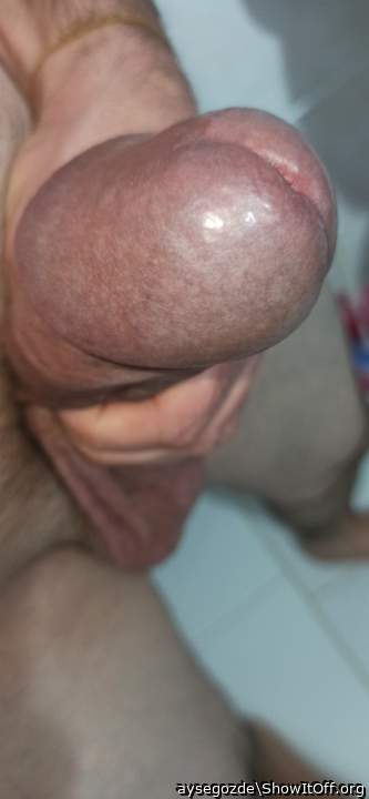 Photo of a purple headed monster from aysegozde