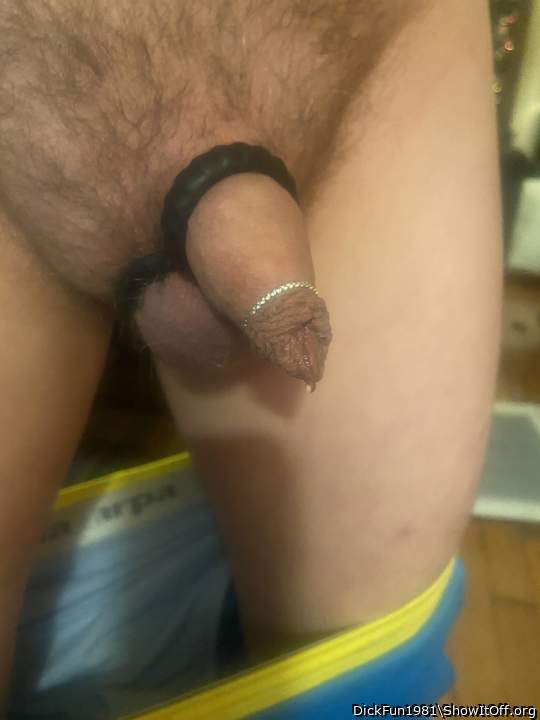 Photo of a hot dog from DickFun1981