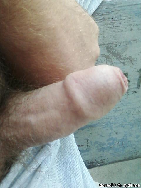 Photo of a bat from daved71