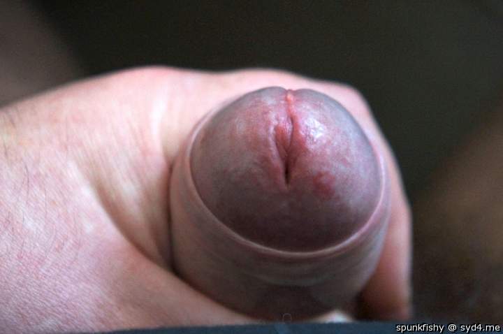 like to lick?