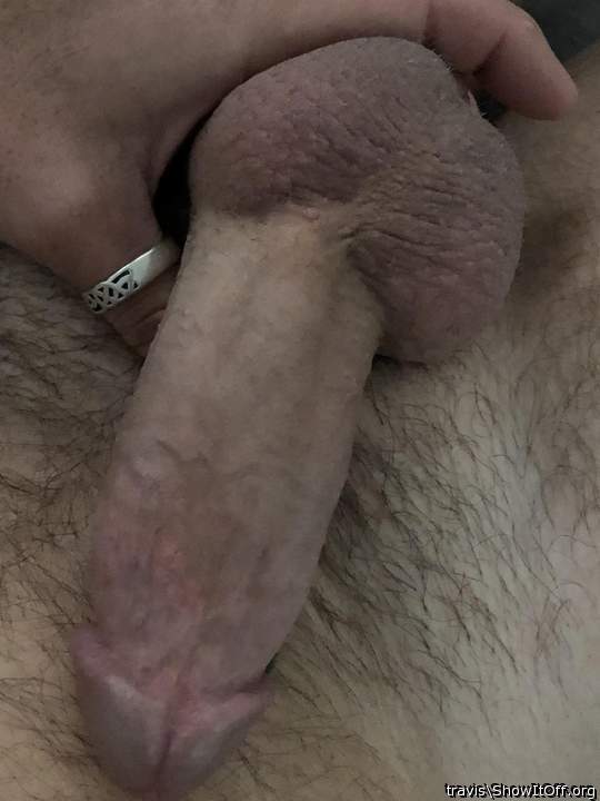 Photo of a cavalier from travis