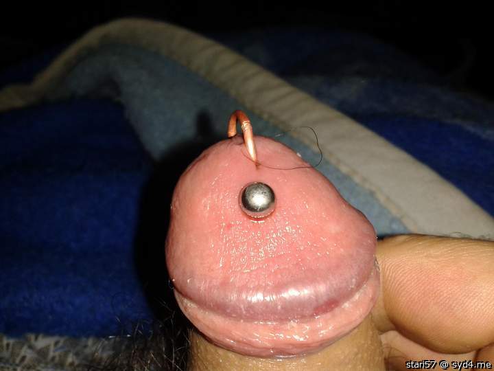 Photo of a cock from stari57