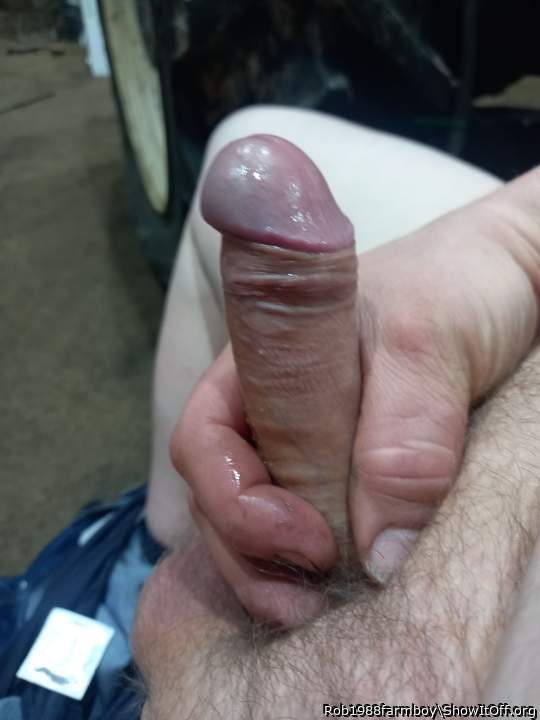 Photo of a penile from Rob1988farmboy