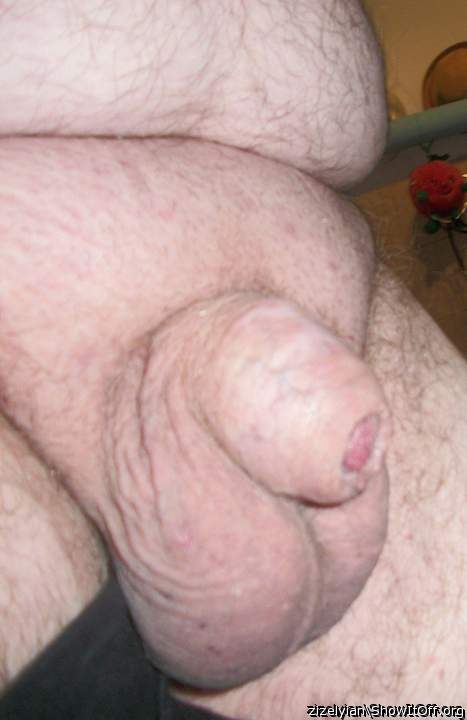MY OLD SMALL BI COCK