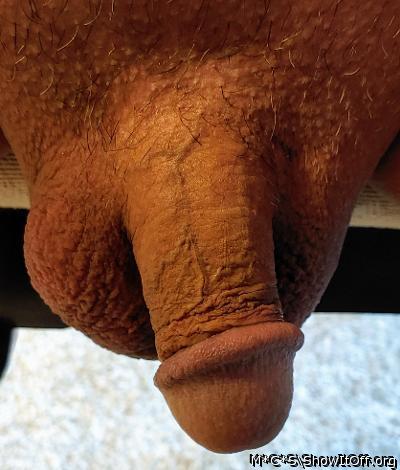 Photo of a dick from M*C*S