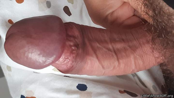 Photo of a stiffie from Little