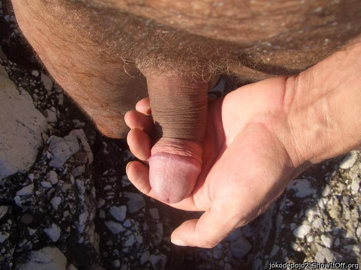 Photo of a weasel from jokodepojo2