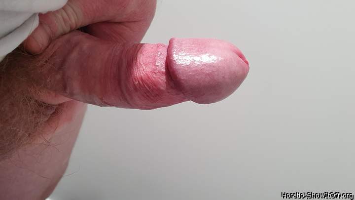 Photo of a middle leg from Horatio