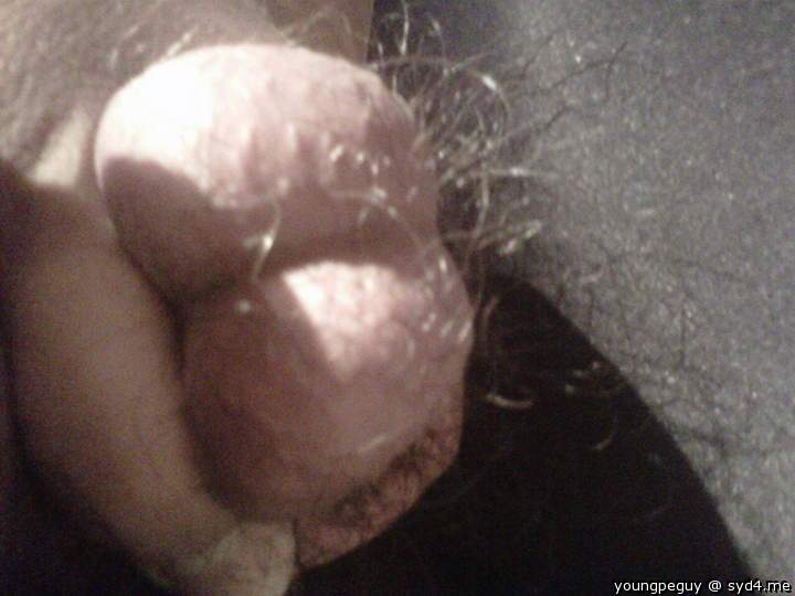 Testicles Photo from youngpeguy