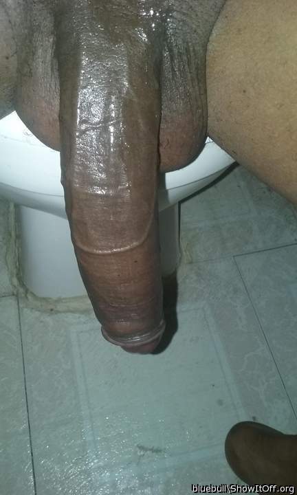 Photo of a thing from bluebull