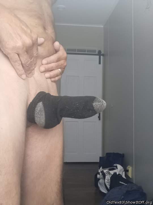 Photo of a weasel from OldTex83