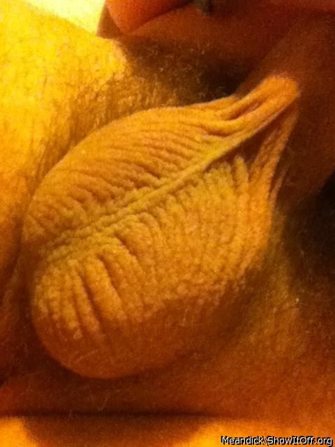 Having a wank