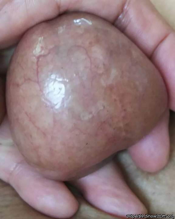 Testicles Photo from oldper69