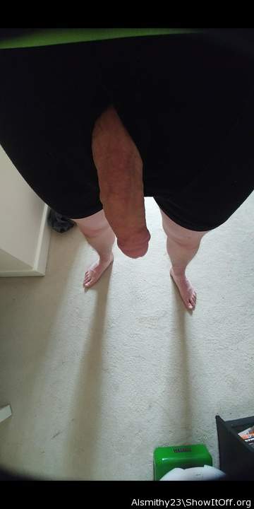 Photo of a python from Alsmithy23
