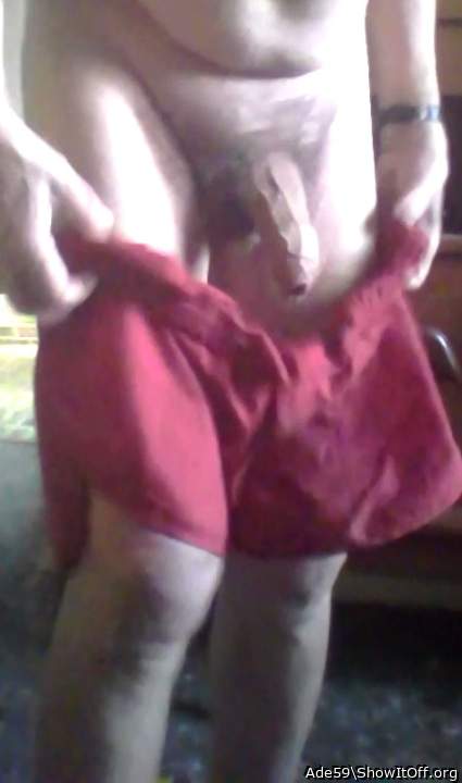 Photo of a snake from Ade59