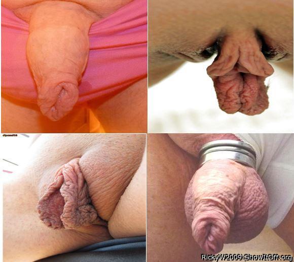 Wrinklies
