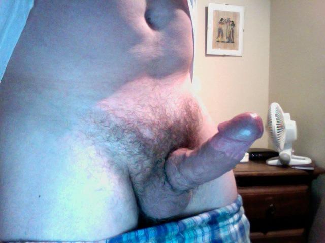 Photo of a horn from jurodr66