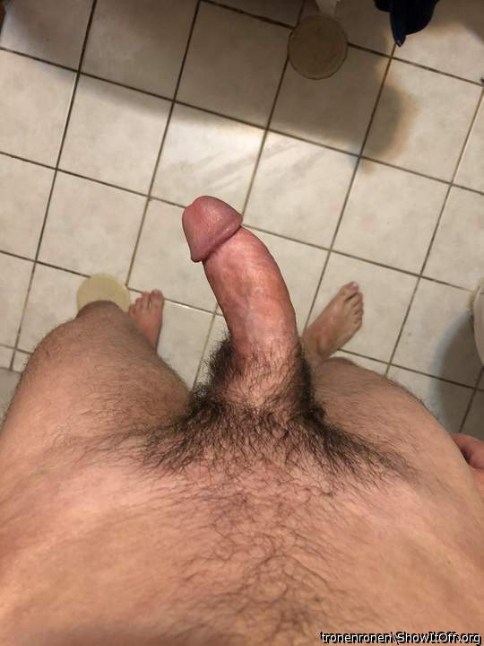 Magnificent Cock &#9794;  