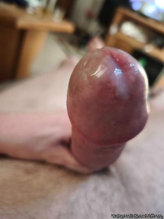 Photo of a pocket rocket from WalterHell