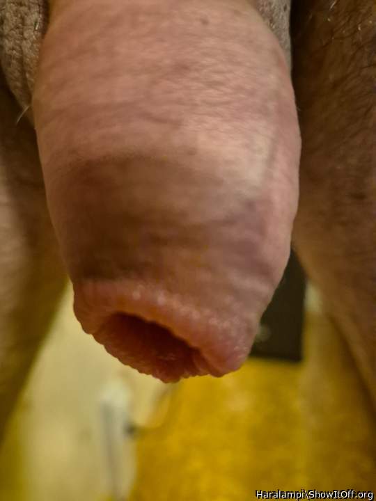 Photo of a bald-headed mouse from Haralampi