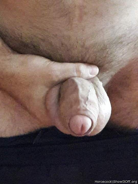 Photo of a bald-headed mouse from massivecock