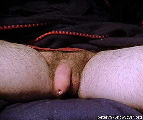 Photo of a dick from peter79