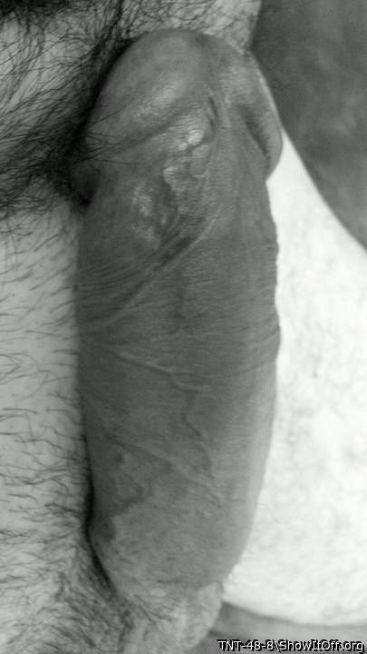 Photo of a penis from TNT-48-8