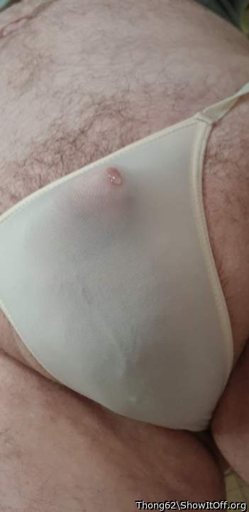 Photo of a python from Thong62