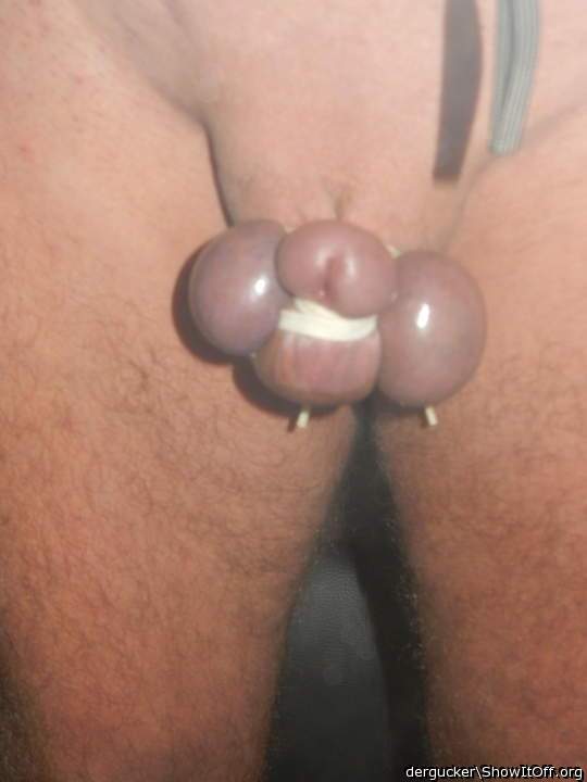 Gebunden
