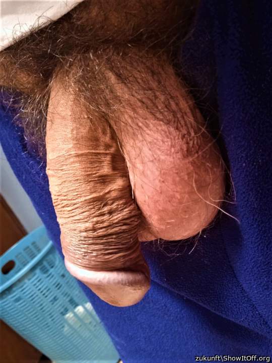 greek dick