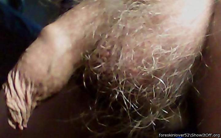 Thanks for liking my hairy cock!   