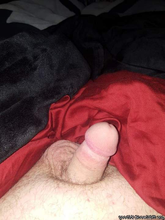 Beautiful cock!  