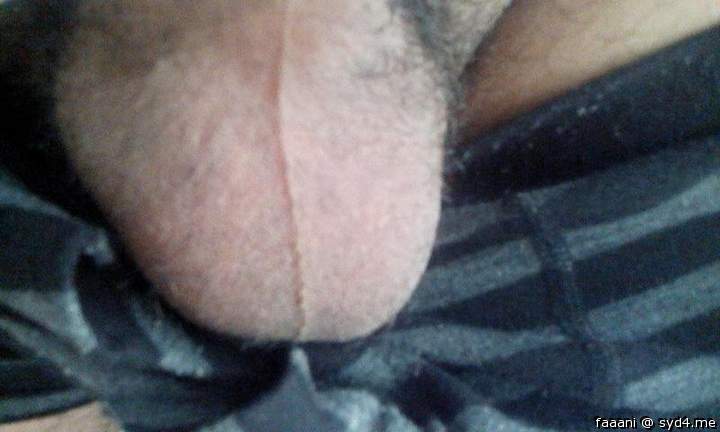 Photo of a wiener from faaani