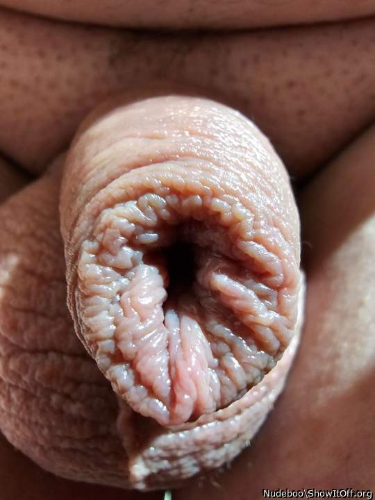 fabulous wrinkles!   