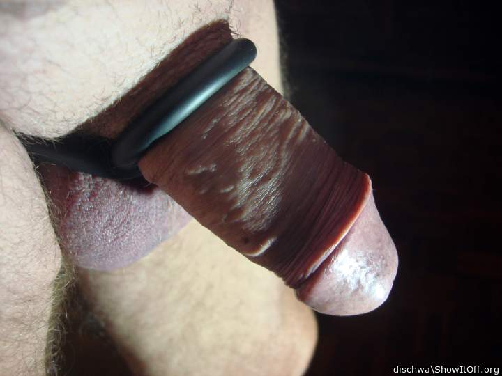 Photo of a cavalier from dischwa