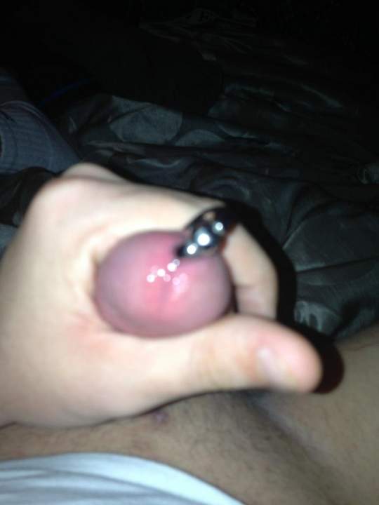 Photo of a snake from Bamaman2013
