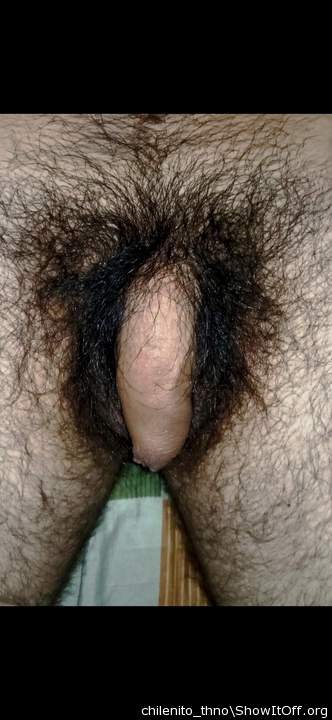 Photo of a third leg from chilenito_thno